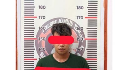 Edarkan 238 Butir Boje, Seorang Kuli Bangunan di Topoyo Terpaksa Berurusan dengan Polisi