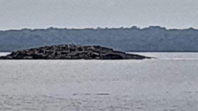 Penampakan pulau di Tanimbar maluku usai gempa M 7,5