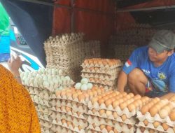 Jelang Ramadhan, Harga Telur Ayam Ras Naik