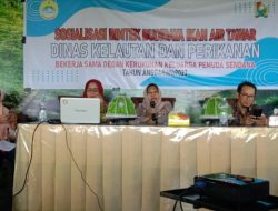 DKP Kabupaten Majene Dorong Masyarakat Budidaya Ikan Air Tawar