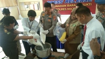Tidak Ada Tersangka, Polres Majene Musnahkan Ribuan Obat Terlarang