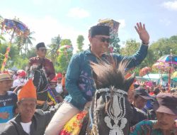 Lestarikan Budaya Messawe Totammaq, Desa Bonde Utara Arak 106 Sayyang Pattuduq