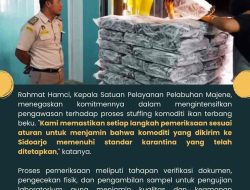 Karantina Sulbar Awasi Pengiriman Ikan Terbang Beku ke Sidoarjo Sebanyak 25 Ton
