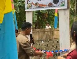 Pengabdian Kepada Masyarakat, Sejumlah Mahasiswa Unsulbar Buat Toga di Ambawe