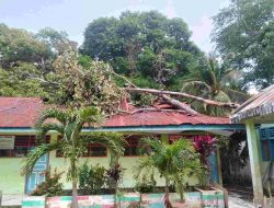SDN 12 Timbogading Ambruk Tertimpa Pohon Tumbang