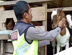 Kisah Inspiratif, Seorang Polisi Jual Kambing Peliharaannya Untuk Bantu Warga