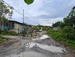Jalan Rusak Bak Gubangan Kerbau, Warga Lutang Tanam Pisang Sebagai Bentuk Protes
