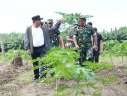 Tinjau Perkebunan di Beru-beru Kalukku, Bahtiar: Bakal Jadi Edukasi Ketahanan Pangan