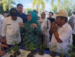 Ketua TP-PKK Sulbar: GPM Membantu Masyarakat Kurang Mampu, Kita Dukung Bersama