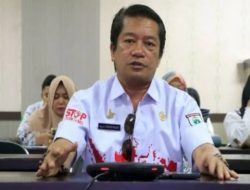Mirip DBD dan Leptospirosis, Dinkes Sulbar Ingatkan Bahaya Virus Hanta