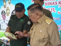 Pemprov Sulbar Gelar Pangan Murah Jelang Idul Adha, Wagub: Harga Lebih Murah dari Pasar