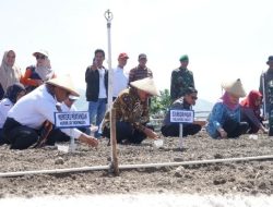 Gubernur Sulbar dan Mentan Amran Komitmen Kembangkan Bawang Merah di Majene