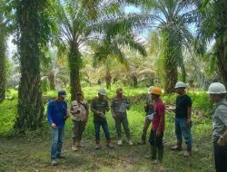 Tindaklanjuti Aduan Warga, Tim Terpadu Pemprov Sulbar Tinjau Dugaan Pencemaran Limbah Perusahaan Sawit di Pasangkayu