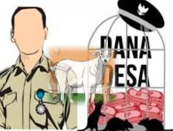 Dugaan Penipuan Pengadaan Kambing di Majene Berujung Damai, Kerugian Ratusan Juta Rupiah Diselesaikan