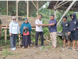 Distapang Sulbar Kembali Menyalurkan Bantuan Ayam KUB dan Sarana Pendukung di Desa Lebani