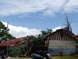 Pusdalops BPBD Sulbar Terima Laporan Kejadian Pohon Tumbang di Mamasa