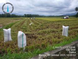UPTD PSDA Sukses Hidupkan Irigasi Buttu Pana, Produktivitas Petani Melonjak