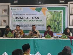 Pemdes Adolang Dhua dan Unsulbar Genjot Sosialisasi dan Penanaman Loka Pere, Target Jadi Makanan Bayi