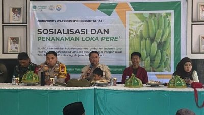 Pemdes Adolang Dhua dan Unsulbar Genjot Sosialisasi dan Penanaman Loka Pere, Target Jadi Makanan Bayi