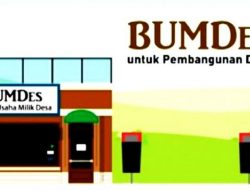 Warga Pertanyakan Pengelolaan Bumdes Bonde Utara, Harga Kambing Tak Pasti hingga Bawang Merah Tak Ditanam