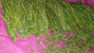 Kembalikan 30 Kg Kacang Panjang, SPPG di Lingkungan Saleppa Dinilai Rugikan Pedagang Lokal