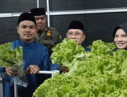 Ketua Komisi III DPRD Majene Pantau Aspirasi Warga hingga Green House BUMDes di Tallambalao
