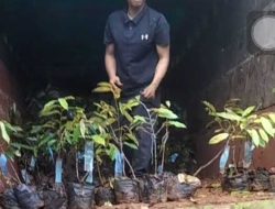 Aktifis Bongkar Skandal Dugaan Korupsi Pengadaan Bibit Rp40 Miliar di Pemprov Sulbar
