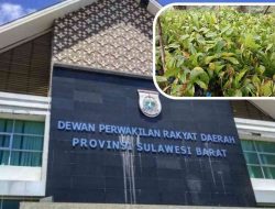 Dugaan Korupsi Bibit Rp40 Miliar di Pemprov Sulbar, Irfan Endus Keterlibatan Oknum DPRD Provinsi Inisial SS