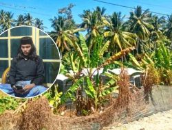 Warga Desak Kejari Majene Usut Dugaan Penyalahgunaan Dana BUMDes Tallambalao Rp115 Juta