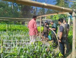 Tinjau Penangkaran Kakao di Majene, PPK Kementan RI Sebut Petani Lokal Siap Naik Kelas