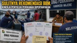 Nelayan Majene Keluhkan Sulitnya Rekomendasi BBM, Kinerja Penyuluh Perikanan Dipertanyakan